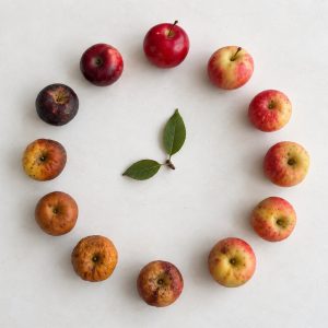 Clock-like arrangement of apples in different stages of aging, symbolizing the effects of time on skin