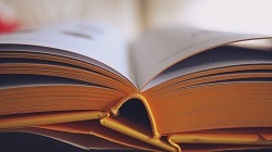 Dr. Dover's summer reading pick